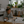 Load image into Gallery viewer, organia 10% broad spectrum cbd oil in 10ml bottle | Organia 1000mg (10%) Broad Spectrum CBD Oil | Organia CBD Oils