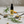 Load image into Gallery viewer, 1000mg (10%) CBD õli ravimtaimede ja eeterlike õlidega LESS PAIN